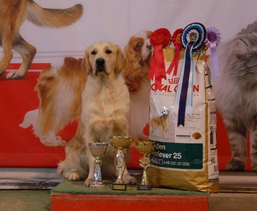 Hela BIS-2 Åbo Open Show 2010