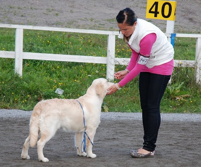 Urho