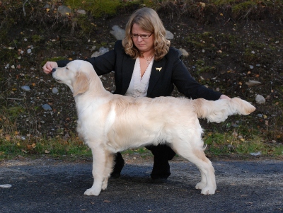 Urho