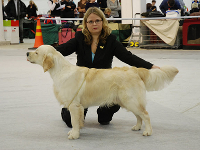 Urho