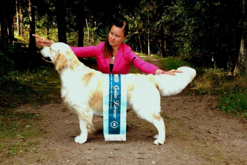 Urho